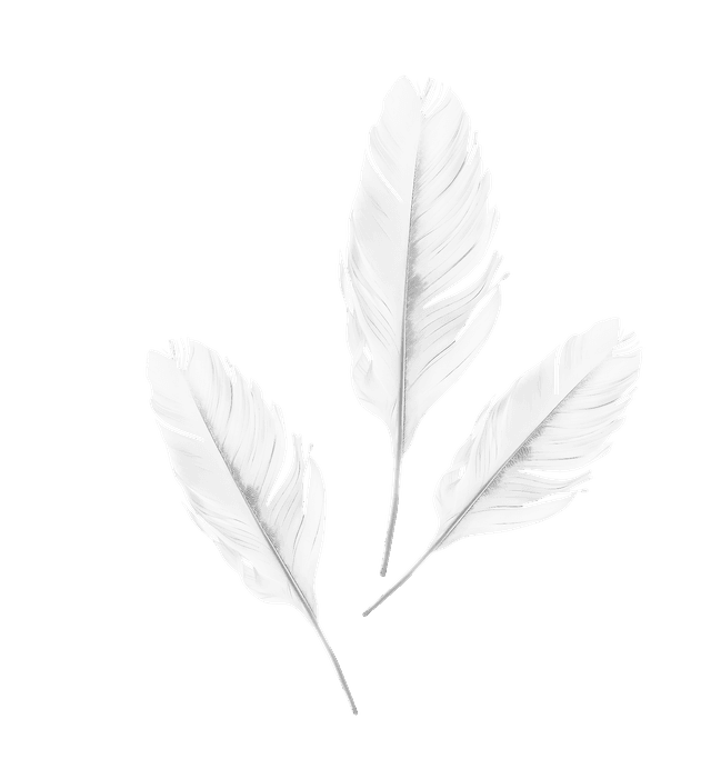 Pierka