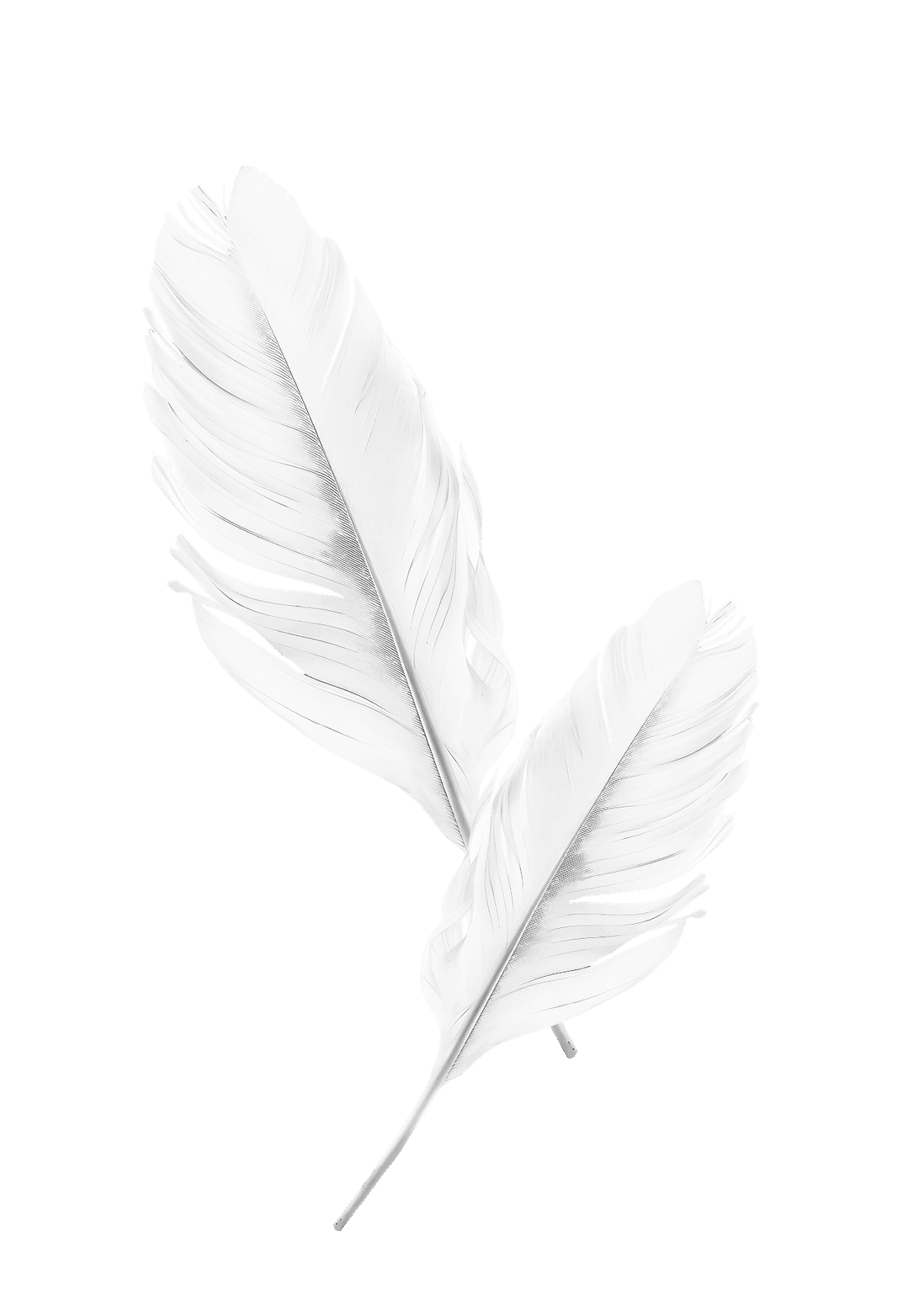 Pierka