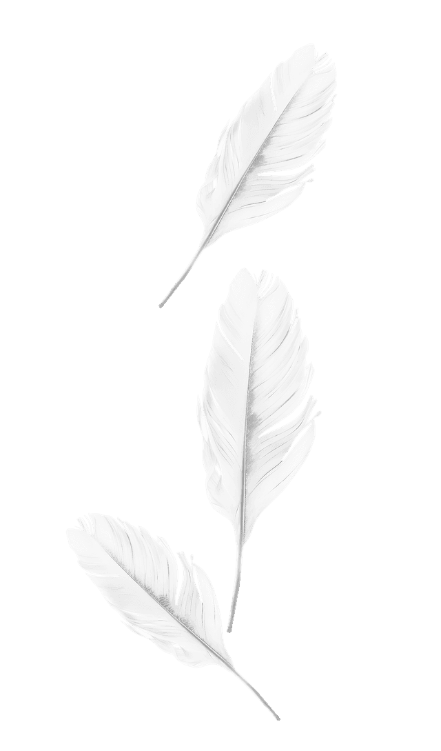 Pierka