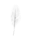 Pierko